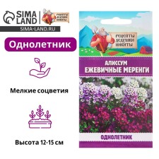 Alissum flower seeds 