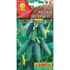 Seeds of cucumber 