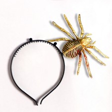 Carnival rim 