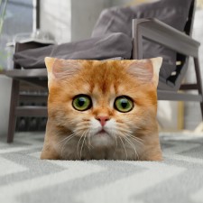 Decorative Ethel Pillow 