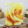 Photo album for 200 photos 10x15 cm "roses" mix