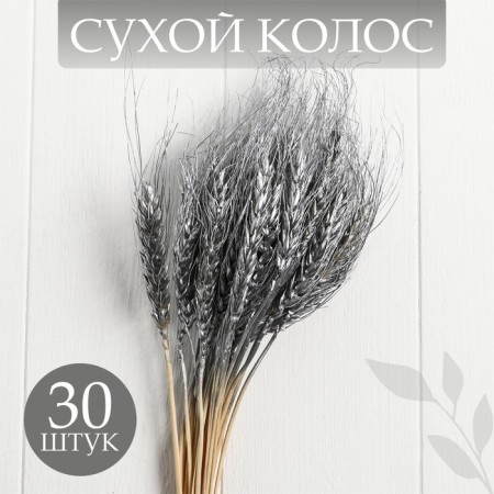 Dry Column of wheat, set 30 pcs., Silver color-2