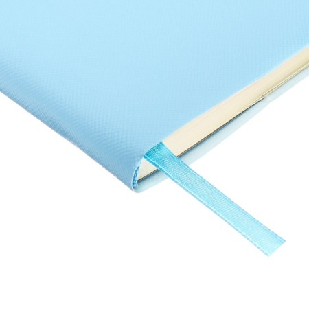 PROVINARY NOT LEARNED, 80 sheets, 100x170 mm, Devente.Jane, soft cover of PVC, elastic band, perforation, liesse, block 70%, blue-4