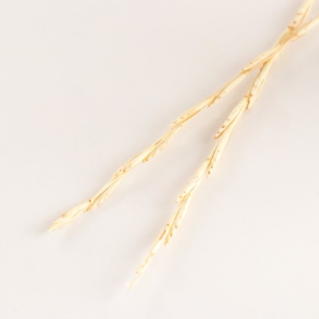 Set of dried flowers "Raigrace", banch 10 pcs, length 25 (+/- 6 cm), bleached-2