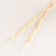 Set of dried flowers "Raigrace", banch 10 pcs, length 25 (+/- 6 cm), bleached