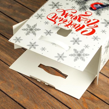 Gift box "Silver" 28 x 14 x 33 cm-2