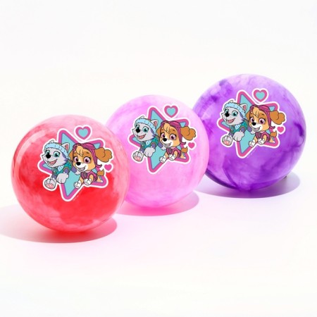 Children's ball PAW Patrol "Sky and Everest", 22 cm, 60 g, marble, mix-1