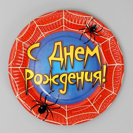 Disposable paper plate "Happy Birthday" Web, 18 cm-4