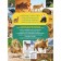 The amazing world of animals. Encyclopedia for children. Baranova N.N.