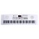 Synthesizer "Musical World", 61 key, with a microphone and adapter
