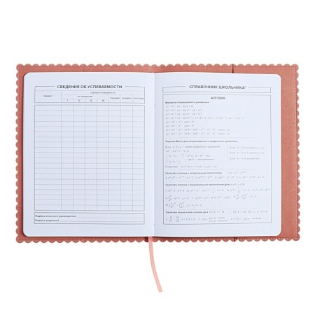 Universal Grade 1-11 Diary, 48 sheets "hare ears", soft cover of artificial leather, applique, foil embossing, figured cutting, universal cheat sheet, lies, block 80 g/m2-8