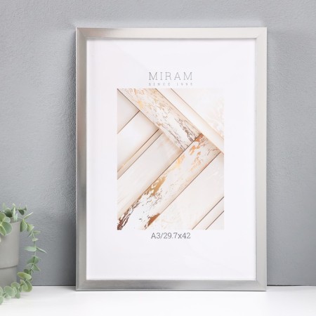 Photo frame Plastic Gallery 29.7x42 cm, (A3) 641822, silver (plastic screen)
