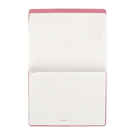 Dated 2025, 250 x 190 mm, 54 sheets, gluing, Escalada, hard -leather cover, pancake embossing, tinted block 70 g/m2, pink-8