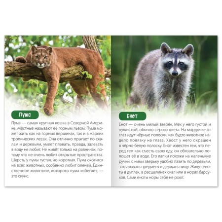 The training book "Animals of North America", 20 p.-2