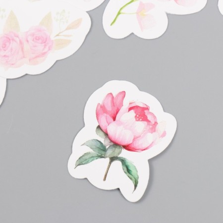 Stickers stickers for scrapbooking "Flowers" 9-347-1