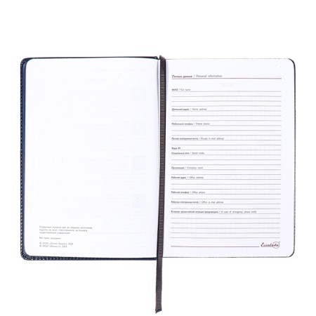 Dated 2025 diary, Escalada, A5 176 sheets, solid cover to leatzers with foam rubber, pancake embossing, perforation on the cover, block 70 g/m2, blue-8