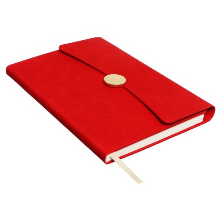 Organizer on the rings A6+, 80 sheets, leatherette, with a valve, a line, with a handle, in a gift box, red-2