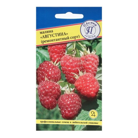 Raspberry raspberries "Augustine", 10 pcs
