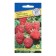 Raspberry raspberries "Augustine", 10 pcs