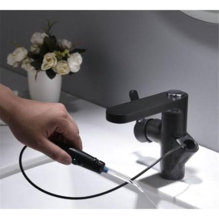 Bronze de Luxe 10188B sink mixer, single -leaf, irrigator, brass, black-1