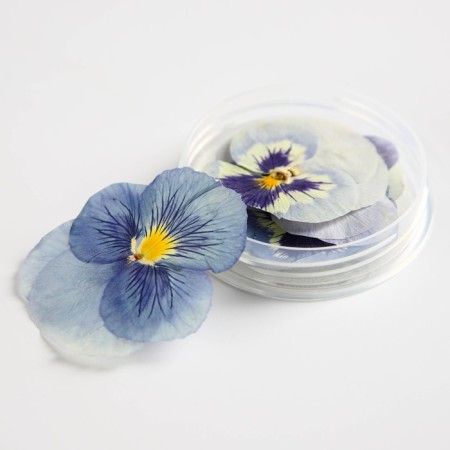 Flowers edible "Viola light blue" for cupcakes, cakes and drinks, 5 pcs.-2