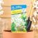 Flower seeds Lagurus (hare tail), o, 10 pcs