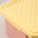 Container for storing toys 17l "Follow Me", color peach caramel