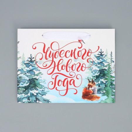 Gift package with a wide bottom "New Year's miracles", 25 x 19 x 18 cm, New Year-6