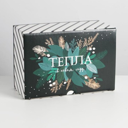 Folding box "heat", 22 x 15 x 10 cm, new year-4