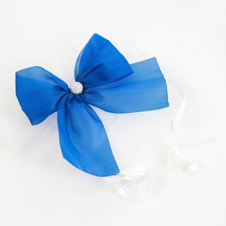 Set on the Auto "Guest", blue-2