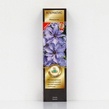 Clematis large -flowered suite "Miosotis", 1 pc, tube, spring 2024
