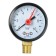 Manometer "CTM", radial, DK 50 mm, 1 MPa, external thread 1/4 "