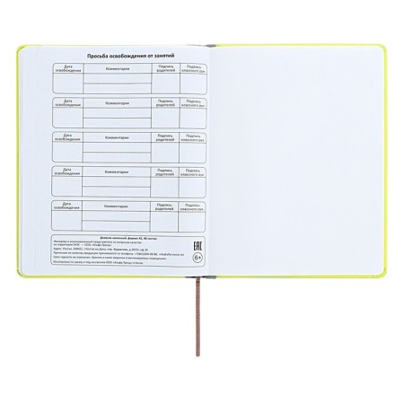 The universal diary for grades 1-11 is an excellent student, a solid cover made of artificial leather, silkography, lies, 48 ​​sheets, light green-14