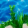 The plant is artificial