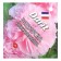 Flower seeds rose "pink suede", 0.1 g