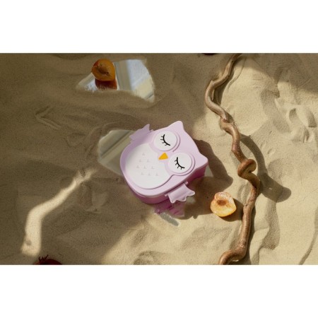 Lancer-bex Plastic with a spoon "Owl", 2 departments: 300 ml, 450 ml, color mix-7