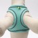 A set with a soft harness, fast-open, m, leash 150 x 1.5 cm, Osh 38-44 cm, og 44-50 cm, turquoise
