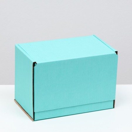 Self -charging box, mint, 26.5 x 16.5 x 19 cm-1