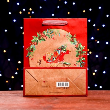 Gift package "Sani with gifts" 26 x 32 x 12 cm-1