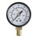 Manometer Zein, radial, body diameter 50 mm, 16 bar, 1/4 "