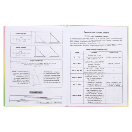 Diary solid cover 1-11 grade 48 sheets, "cat-butterfly2", cardboard cover 7BC, glossy lamination, cheat sheet-9