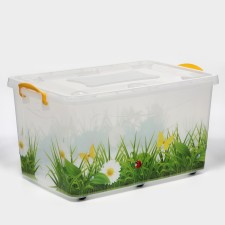 The container for storage with the lid 