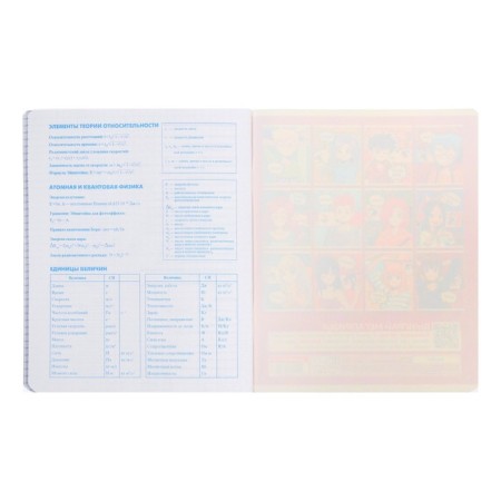 An objective note 48 sheets in the cell "anime. Physics", cover shaking cardboard, UV-lak, OFSET Block-5