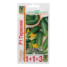 Cucumber seeds 