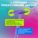 Monument toothbrush SPLAT SMILEX ORTHO+ with interchangeable heads