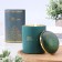 Aromatic candle in a glass "Aroma Collection", 260 g, white tea, in a tube