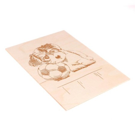 Boards for burning 2 pcs. "Pyosik" blister-2