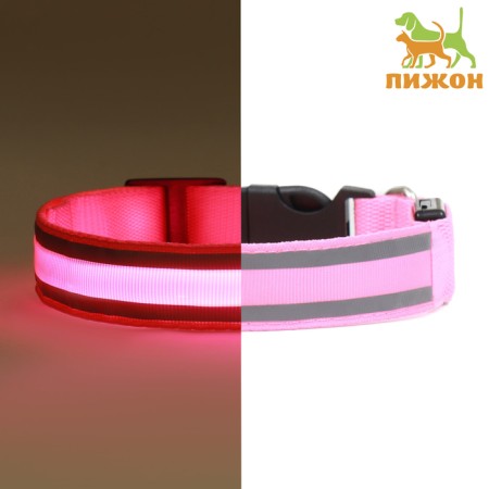 Collar with backlight double strip size m, Osh 40-48 x 2.5 cm 3 glow mode pink