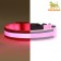 Collar with backlight double strip size m, Osh 40-48 x 2.5 cm 3 glow mode pink