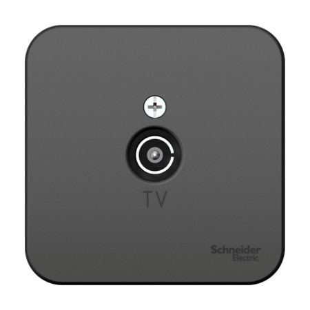 Television socket SE BLANCA, invoice, 1 dB, IP20, color Anthracite, Blnta000016